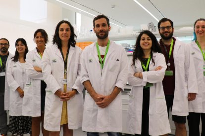 Grupo de Biomarcadores en Fluidos y Neurología Traslacional del BBRC.