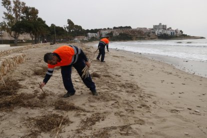 Trabajadores de la brigada municipal de Alfatulla recogiendo restos de cañas y vegetación después del paso del temporal.