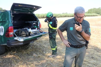 Dos membres del cos d'Agents Rurals treballant a la zona on es va originar un incendi.