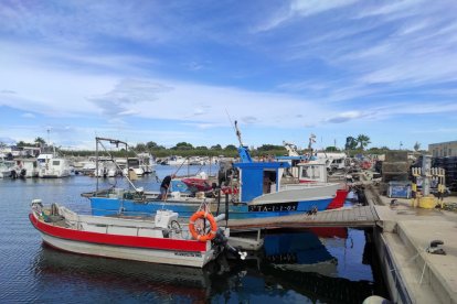 Embarcacions al port de Deltebre.