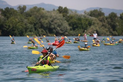 Un centenar de cayucos llenan el río Ebro para reivindicar un mayor caudal sólido y acuático.