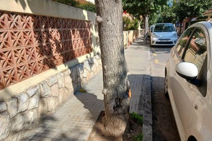 La acera de la calle Guillem de Montcada, que ganará espacio y será más accesible que ahora.