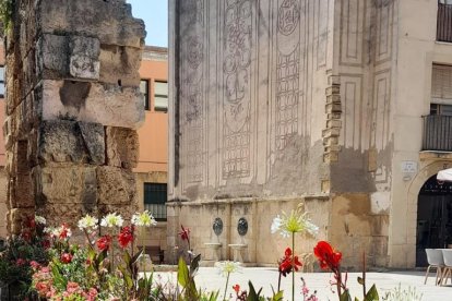 Imatge d'un ajardinament nou a Tarragona.