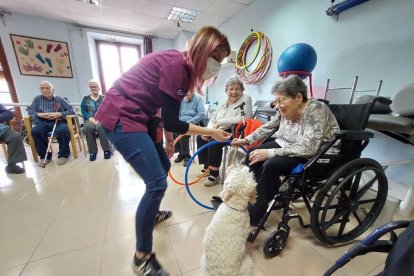 Imagen de una residencia con la terapia con perros.