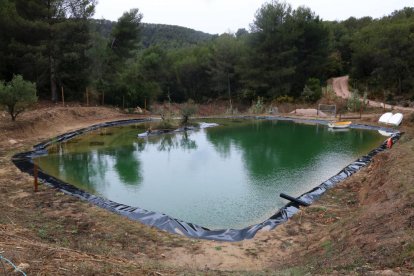 Bassa artíficial en una finca del Montmell renaturalitzada per la Xarxa de Custòdia Agrària del Baix Penedès.