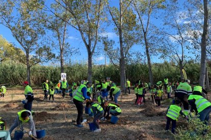 Imatge d'un moment de la III Plantada a Sant Salvador.