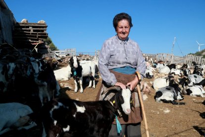 La pastora Maria Cinta Octavio, l'última en actiu a Tortosa.