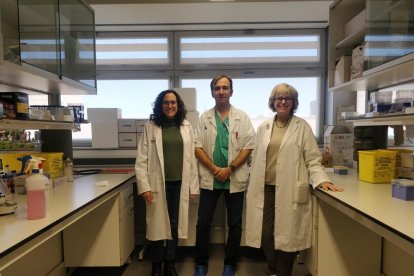 Los responsables de la investigación melanoma realizada en Lleida.