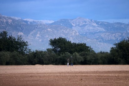 Els terrenys on es projecta la planta de compostatge a Santa Bàrbara.