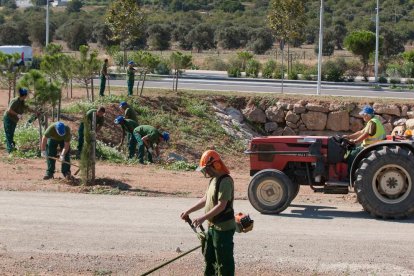 En los últimos cinco años, el Ayuntamiento ha creado un total de 192 puestos de trabajo.