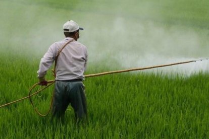 Descubren que la exposición de un pesticida se relaciona con un mayor riesgo de sufrir alzhéimer