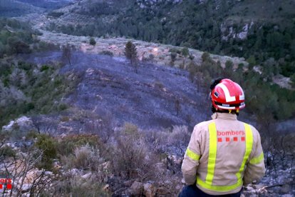 Un bombero observa la zona calcinada al barranco de *Povet, al término municipal de Tortosa.