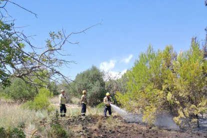 Cinc dotacions han remullat la zona afectada després de controlar el foc.