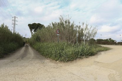 Imagen de la zona de la riera de la Abeurada, donde se instalarán mobiliario urbano y señalizaciones.