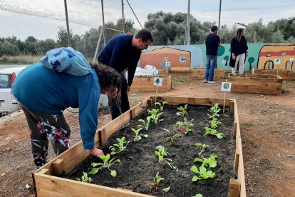 Usuarios de la Fundación Pere Mata participando en la rehabilitación del patio de la escuela Joan Baptista Serra de Alcanar.