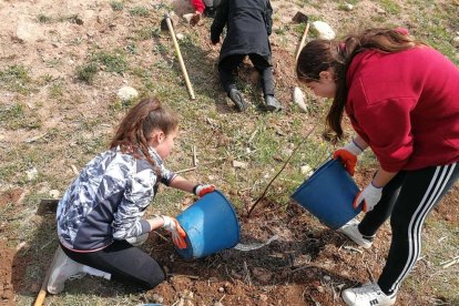 Dos chicas durante la plantación.