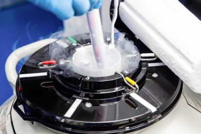 Els resultats de l'estudi indiquen que la microgravetat no afecta la viabilitat de l'esperma humà congelat.