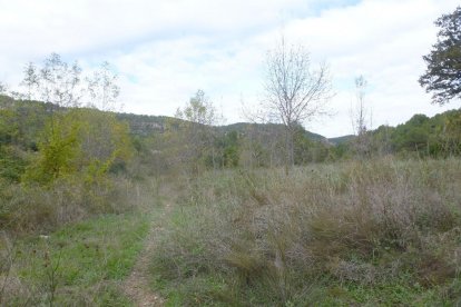 Zona on es durà a terme l'actuació a l'espai fluvial del riu Gaià.