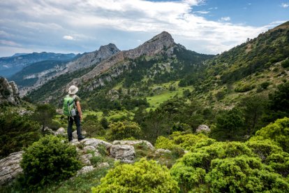 Un excursionista observa el paisatge al parc natural del Port.