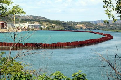 Pla general de la zona confinada per la contaminació al pantà de Flix.