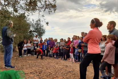 La propuesta familiar 'Ruta per les oliveres' incluye la visita al molino y un paseo por los campos de olivos.