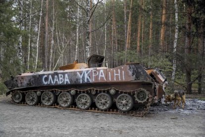 Un perro olfatea un tanque destruido en Chernobyl.