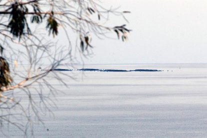 Buscar espècies de peixos de cultiu menys vulnerables als canvis de temperatura és una de les propostes que es desprèn de l'estudi.