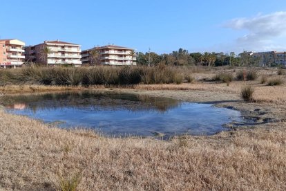 Se han creado tres lagunas nuevas y se ha ampliado una cuarta ya existente.