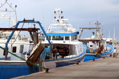 Vaixells de pesca amarrats al port de Vilanova i la Geltrú, on s'ha celebrat la reunió.