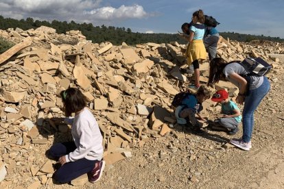 A la pedrera d'Alcover-Mont-ral s'han trobat fòssils d'animals del període Triàsic.