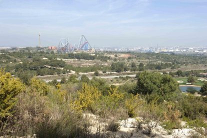 Panorámica de los terrenos donde se tiene que construir el proyecto de Hard Rock.