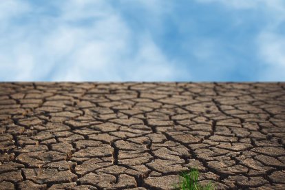 La URV s'encarregarà de comprovar el contingut i de fer-ne l'avaluació científica.