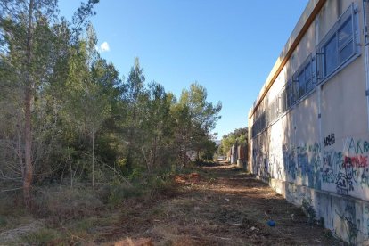 Imatges de la neteja a l'entorn del CEIP Sant Salvador.