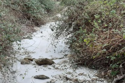 Imagen de archivo del estado del río Glorieta durante un episodio anterior de contaminación.