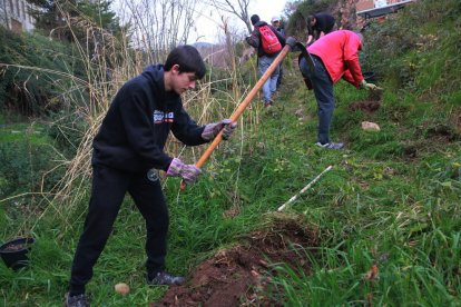 Un joven participa a la reforestación del río Glorieta, a Alcover