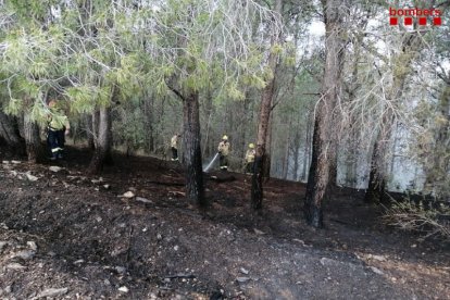 El foc ha cremat 2.200 m2 de vegetació agrícola i forestal.