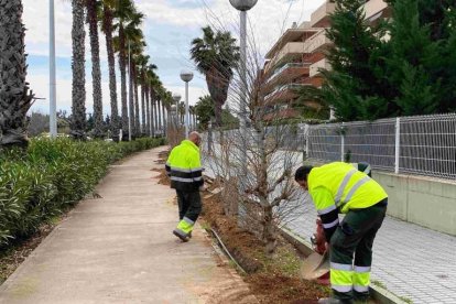 Dos operaris duent a terme els treballs de substitució.