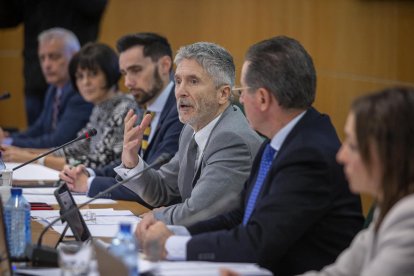 El ministro del Interior, Fernando Grande-Marlaska, en su reunión con los cuerpos policiales sobre violencia machista.