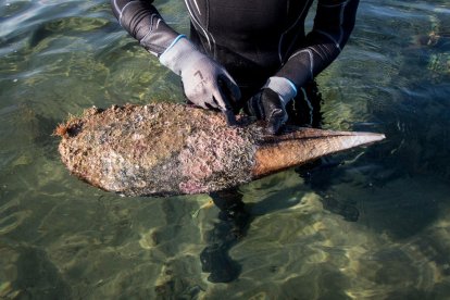 Imatge d'una nacra del delta de l'Ebre.