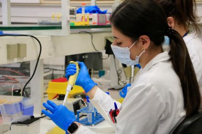 Una investigadora pipeteja un reactiu en un dels laboratoris del Vall d'Hebron Institut de Recerca (VHIR).