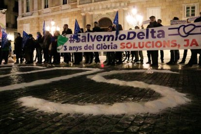 Concentració d'entitats ecologistes i de l'Ebre a la plaça de Sant Jaume de Barcelona en defensa del Delta quan fa tres anys del Gloria, amb un 