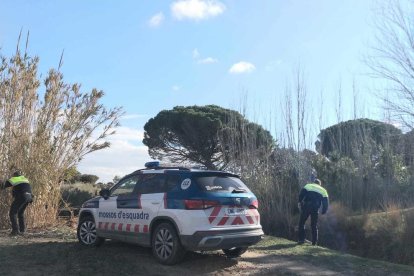 En el dispositu participen Mossos, Policia Local i Bombers.