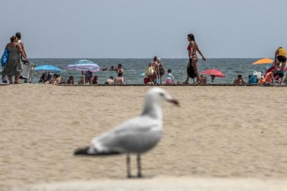 La playa es uno de los lugares más concurridos durante el verano.