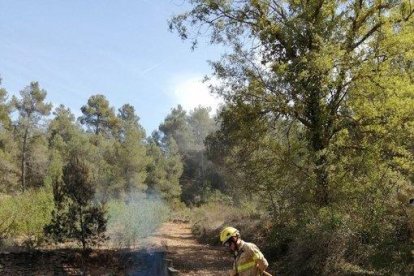 Un bomber extingint el foc de