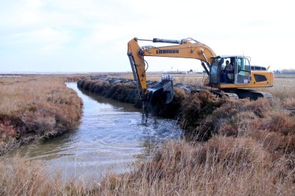 Una máquina trabajando en una de las guardas perimetrales de la laguna de la Encanyissada.