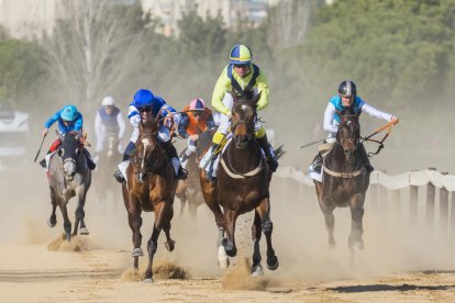 Fotografia de la cursa de cavalls al circuit hípic del Parc de la Torre d'en Dolça de Vila-Seca.