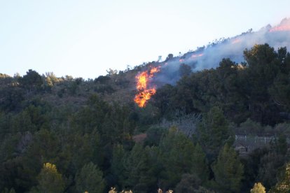 Incendi de vegetació a la Selva del Camp.