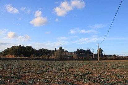 Terrenos donde se ubicará el futuro centro logístico de Bon Preu en Montblanc.