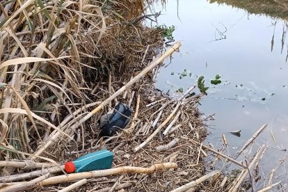 Han trobat més de vint ampolles d'oli de motor a la llera del Francolí, des del pont de l'avinguda Roma fins a la desembocadura.