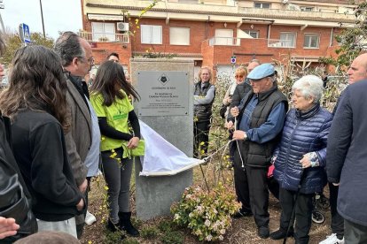 Moment de la descoberta de la placa.